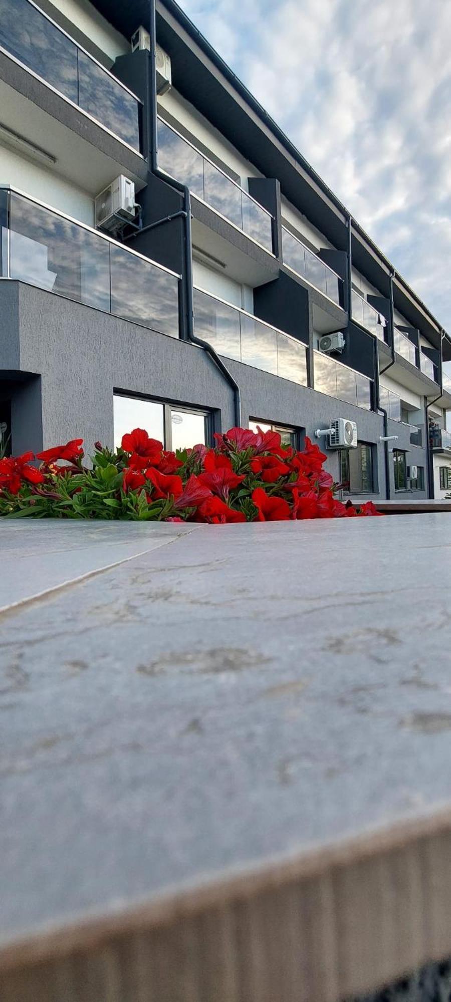 Anelisse Apartments Eforie Nord Exterior photo